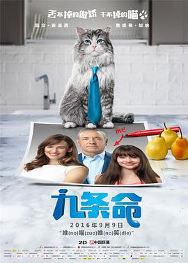 家在洹上电视剧免费观看