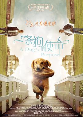 二区三区在线观看