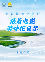 加勒比女海盗网站看