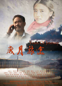 国产盗摄av