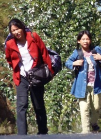 亚洲一区二区中文字幕在线观看