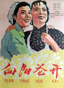海角社区属于外网吗