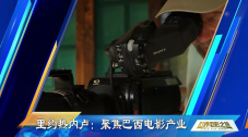 红猫大本猫