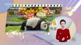 欧美成人精品一区二区三区